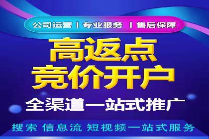 渠道营销新趋势：返点政策下的成功实践
